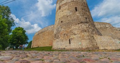 Авто-пешеходная экскурсия из Пскова (фото 2)