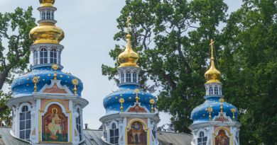 Авто-пешеходная экскурсия из Пскова (фото 7)