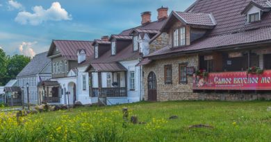 Авто-пешеходная экскурсия из Пскова (фото 3)