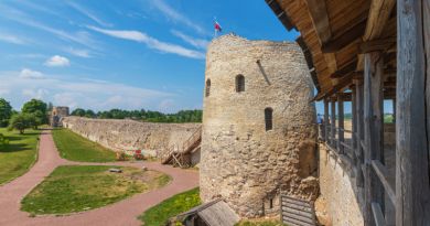 Авто-пешеходная экскурсия из Пскова (фото 3)