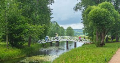 Экскурсия из Пскова: Пушкинские Горы: Михайловское, Тригорское. фото 13308