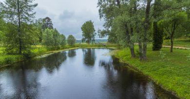 Авто-пешеходная экскурсия из Пскова (фото 4)