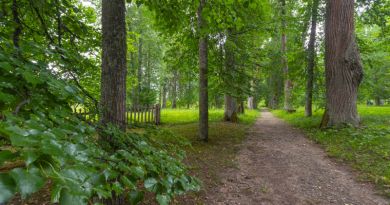 Авто-пешеходная экскурсия из Пскова (фото 3)