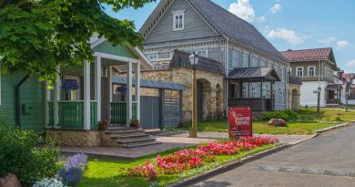 Авто-пешеходная экскурсия из Пскова (фото 4)