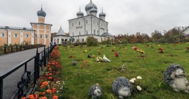 Экскурсии в `Великий Новгород` из Пскова