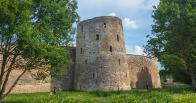 Авто-пешеходная экскурсия из Пскова (фото 5)