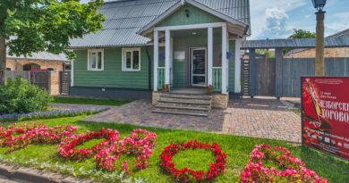 Авто-пешеходная экскурсия из Пскова (фото 4)